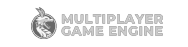 MULTIPLAYER GAME ENGINE